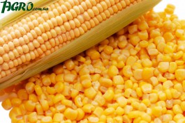 1agro.com.ua