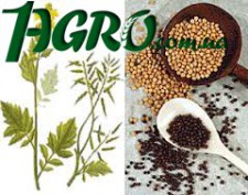 1agro.com.ua