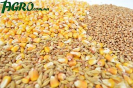 1agro.com.ua