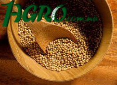 1agro.com.ua