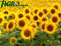 1agro.com.ua