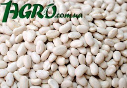 1agro.com.ua