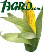1agro.com.ua