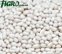 1agro.com.ua