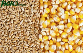 1agro.com.ua