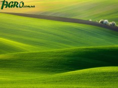 1agro.com.ua