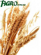 1agro.com.ua