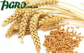 1agro.com.ua