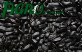 1agro.com.ua