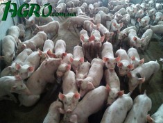 1agro.com.ua