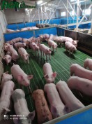 1agro.com.ua