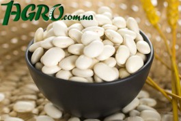 1agro.com.ua