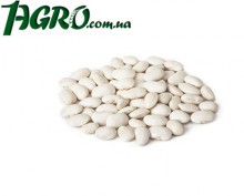 1agro.com.ua