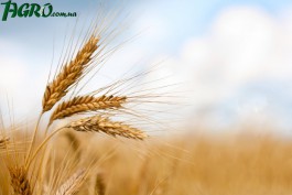 1agro.com.ua