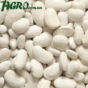 1agro.com.ua