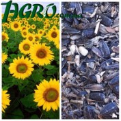 1agro.com.ua