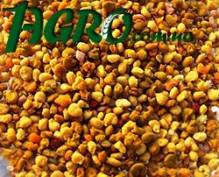 1agro.com.ua