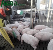 1agro.com.ua