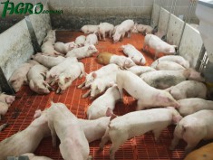 1agro.com.ua
