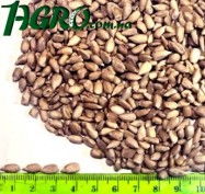 1agro.com.ua