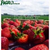 1agro.com.ua