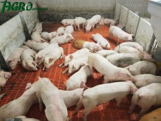 1agro.com.ua