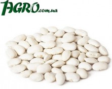 1agro.com.ua