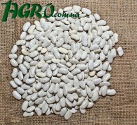 1agro.com.ua