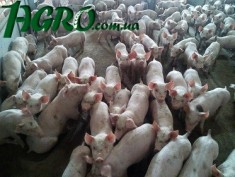 1agro.com.ua