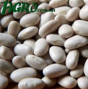 1agro.com.ua