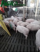 1agro.com.ua