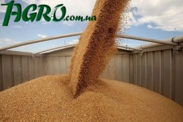 1agro.com.ua