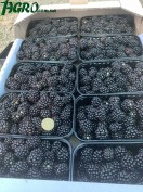1agro.com.ua