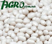 1agro.com.ua