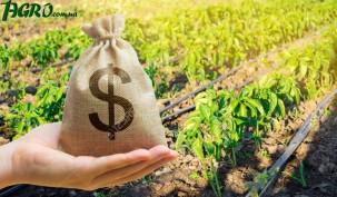 1agro.com.ua