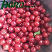 1agro.com.ua