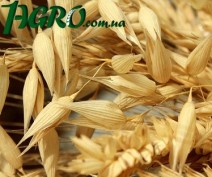 1agro.com.ua