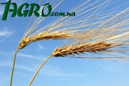 1agro.com.ua