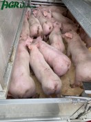 1agro.com.ua