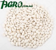 1agro.com.ua