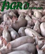 1agro.com.ua