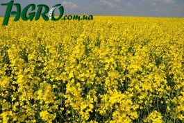1agro.com.ua