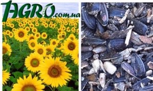 1agro.com.ua