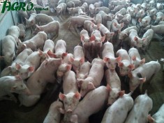 1agro.com.ua