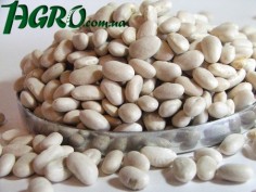 1agro.com.ua