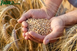 1agro.com.ua