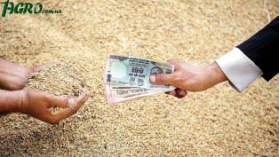 1agro.com.ua