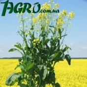 1agro.com.ua