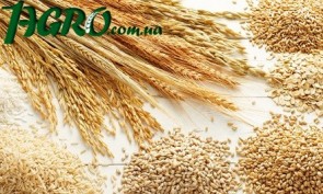 1agro.com.ua