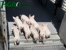 1agro.com.ua